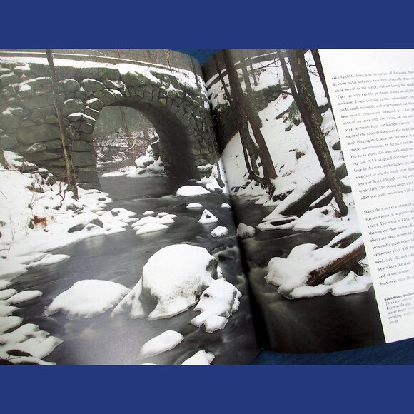 Book - Wetlands: The Web of Life, by Paul Rezendes and Paulette Roy - Picture 3 of 13